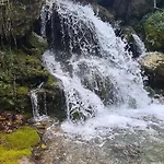 Galini *